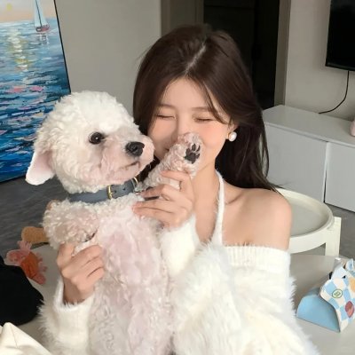 他们爱的故事 封面